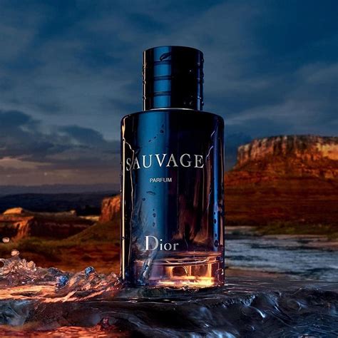 dior sauvage prix|dior sauvage 200ml best price.